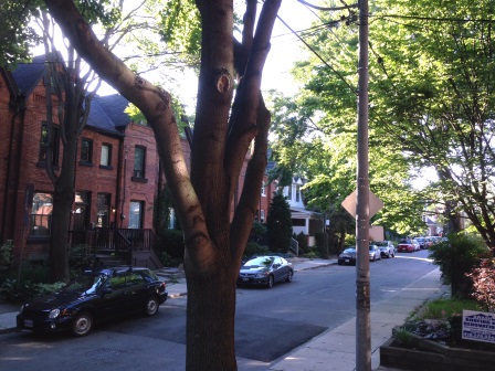 image11